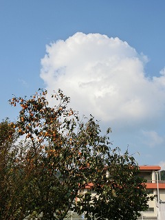 1_cloud.jpg